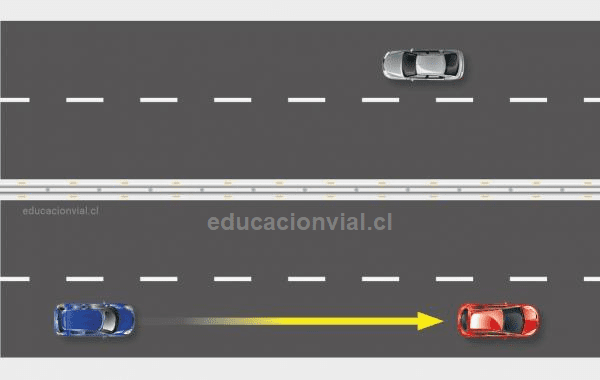 Imagen del término