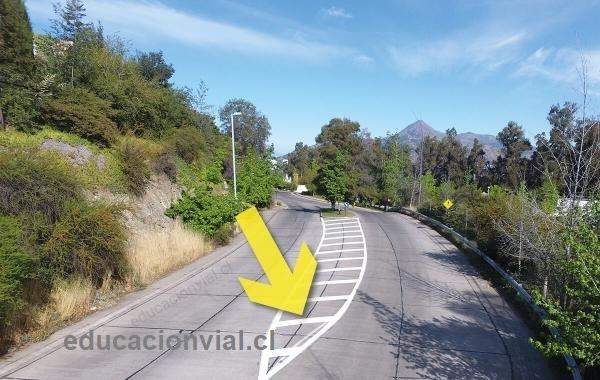 Imagen del término